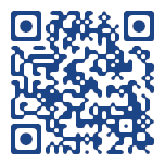 Fried Seafood Pieces